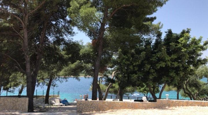 Apartments Villa Macola Τρογκίρ Εξωτερικό φωτογραφία