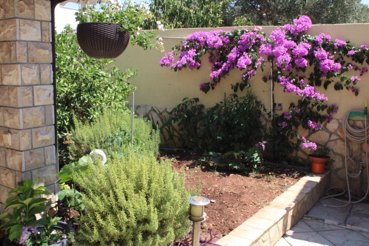 Apartments Villa Macola Τρογκίρ Εξωτερικό φωτογραφία